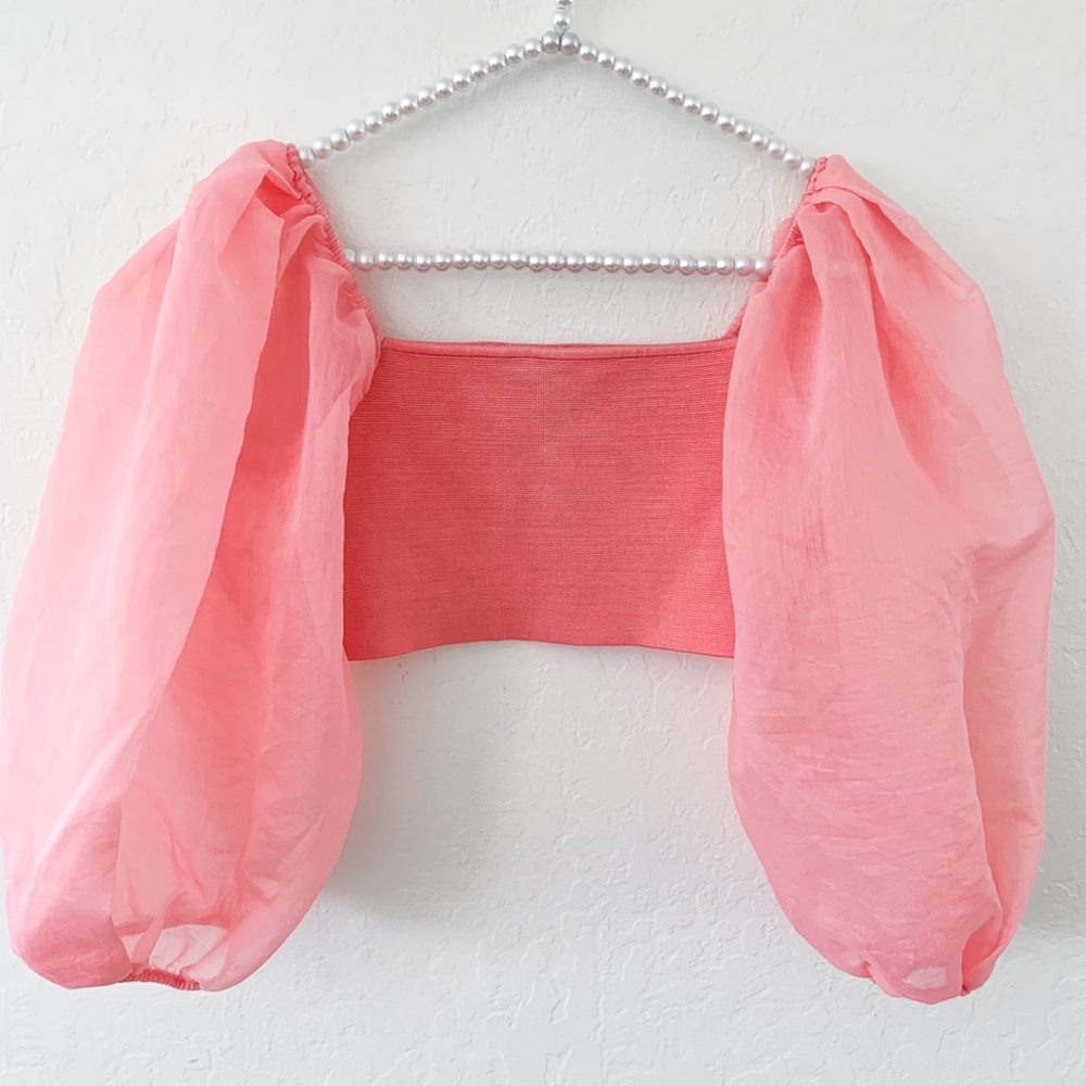 ZARA Organza Sleeve Top